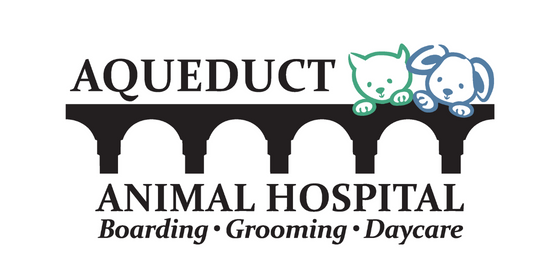 Aqueduct Animal Hospital
